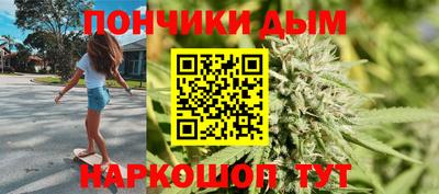 шишки Абакан