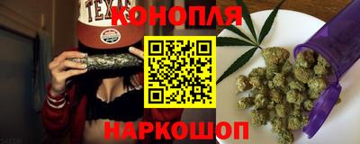 шишки Абакан