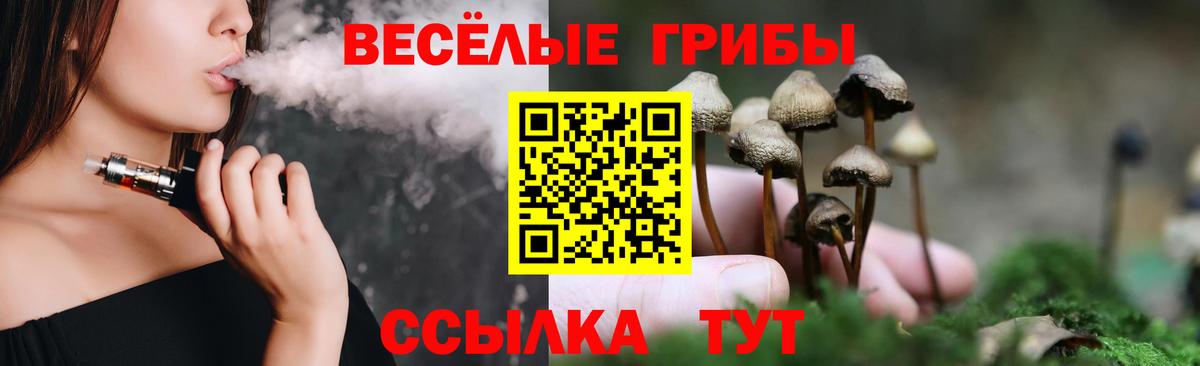 Псилоцибиновые грибы Psilocybine cubensis  Псилоцибиновые грибы GOLDEN TEACHER  Абакан  Вход с VPN 